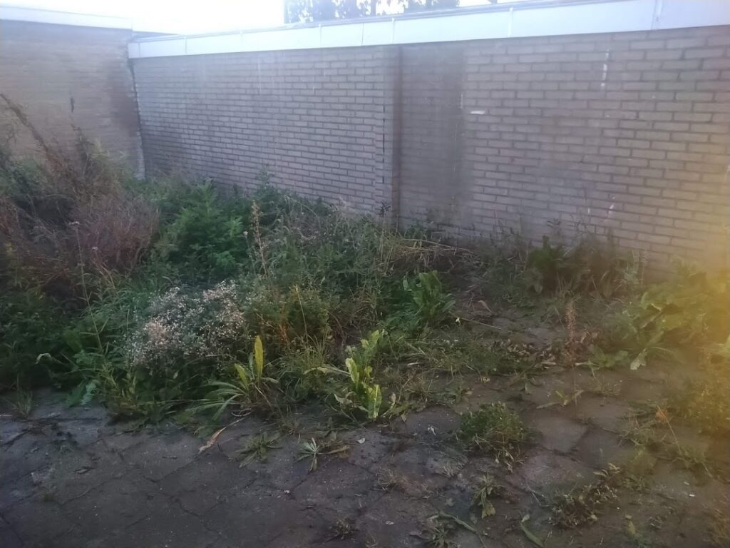 Tuin opschonen